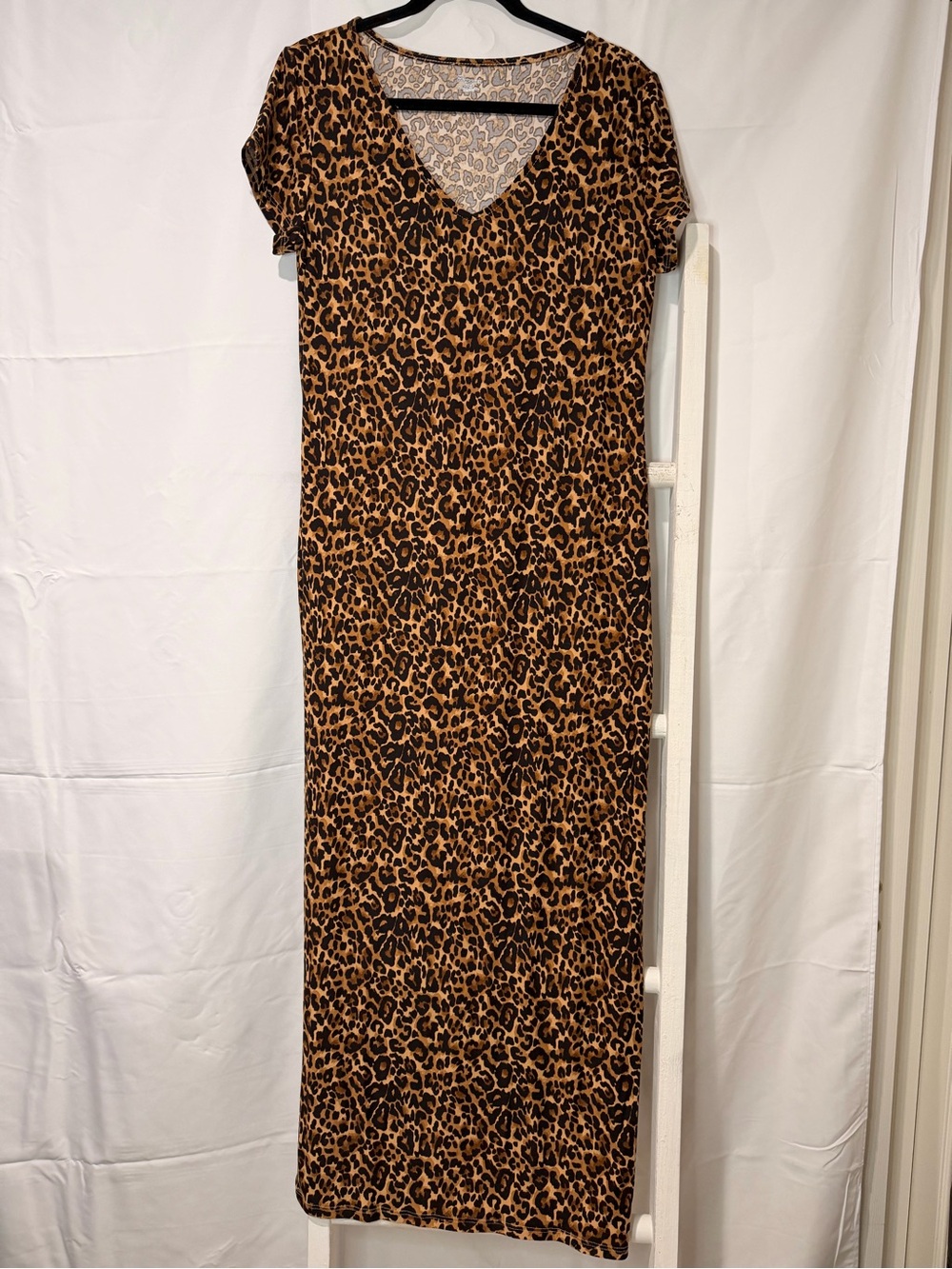 No Boundaries Leopard Print V-Neck Maxi Dress in Brown and Black